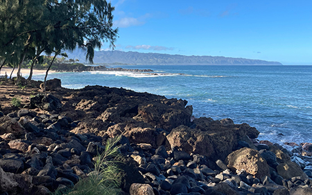 Oahu's North Shore